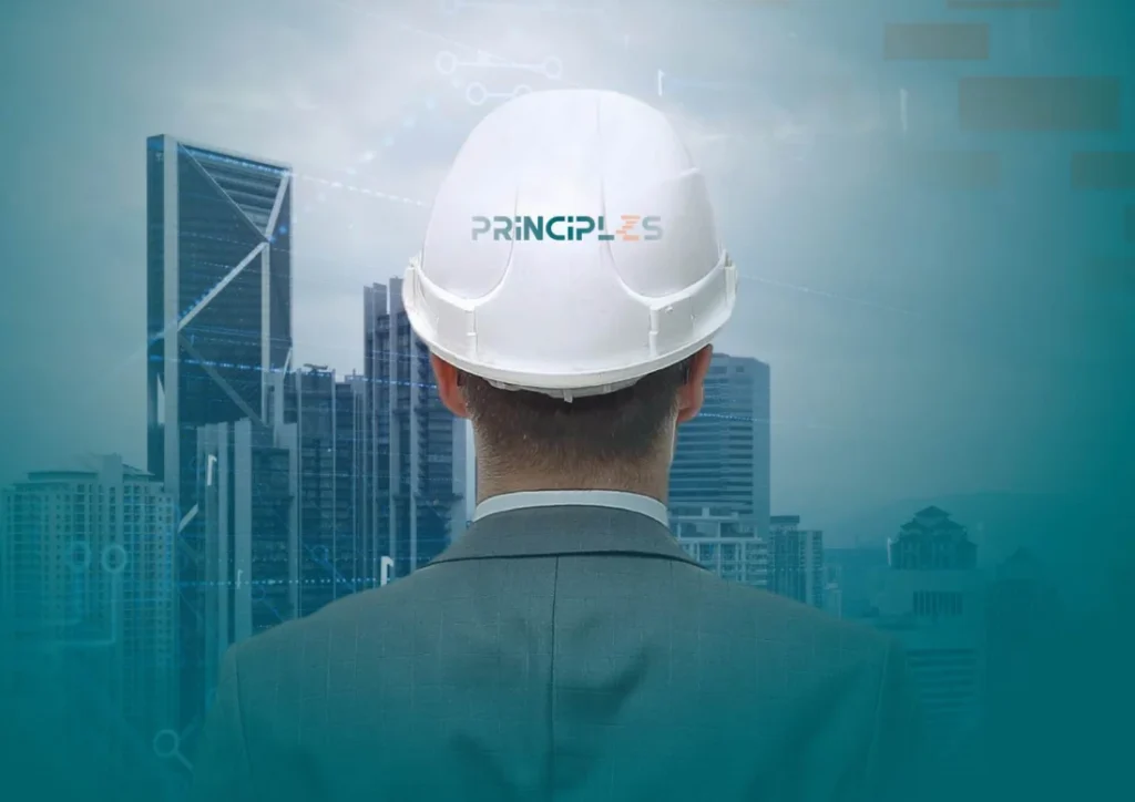 Engineer in a PRINCIPLES hard hat looking at a city skyline